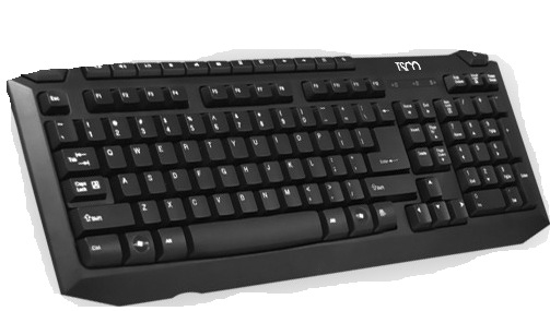 Keybord PS2 TSCO TK-8024